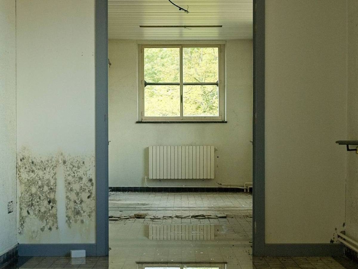 Standing water on a floor and mold on the wall after a leak